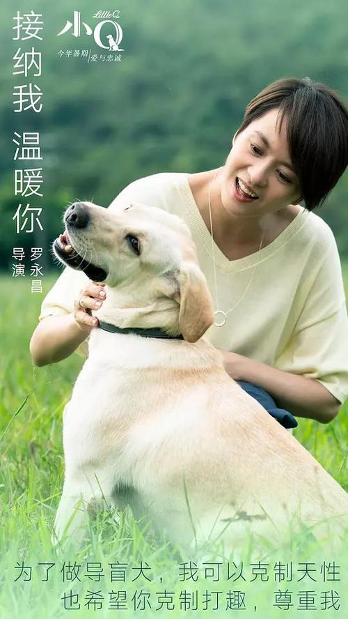 单身证明公证书在哪里办